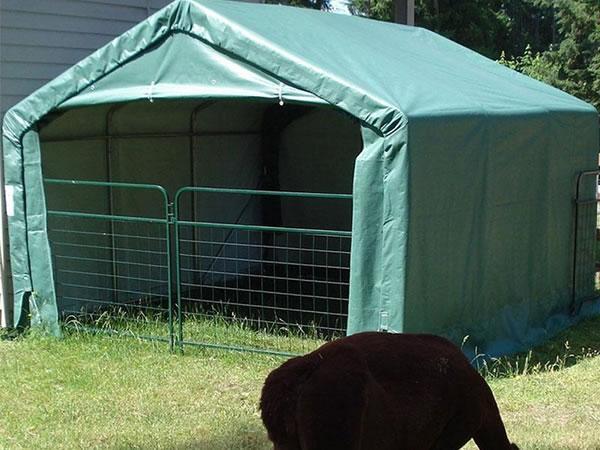 Tente pour élevage de chevaux