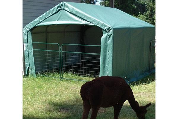 Cabane domestique de chevaux