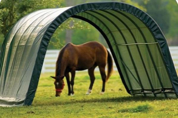 Refuge pour chevaux