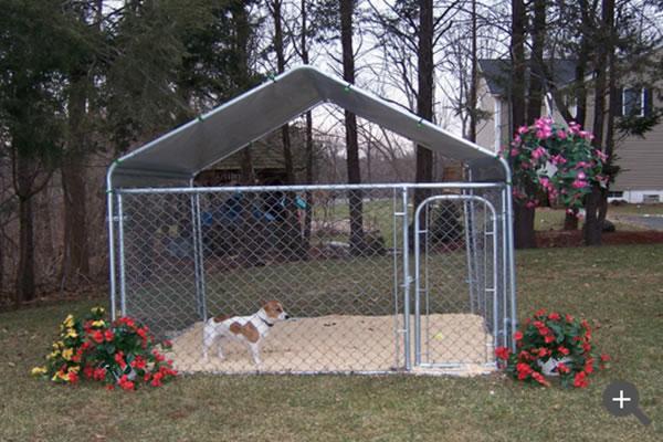 Chenil pour chien bon marché