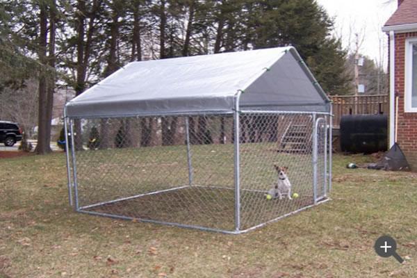Abri de chien de conception simple