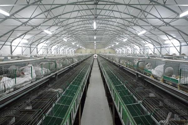 Petit hangar à lièvre